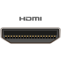 HDMI Mini Female forbindes til denne port/kabelende