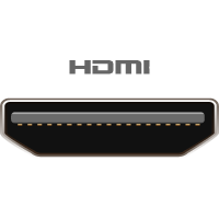 HDMI Mini Male forbindes til denne port/kabelende