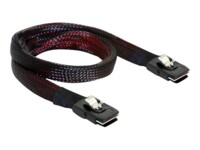 DeLOCK Serial Attached SCSI (SAS) internt kabel 1m