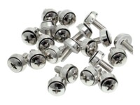 StarTech.com M6 x 12mm - Screws - 100 Pack - M6 Mounting Screws for Server Rack & Cabinet (CABSCREWSM62) Skruesæt Sølv