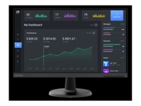 Lenovo C24-40 24' 1920 x 1080 (Full HD) VGA (HD-15) HDMI 75Hz
