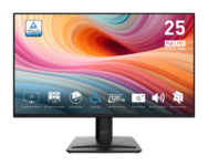 MSI PRO MP252 E2 25' IPS 1920 x 1080 (Full HD) HDMI DisplayPort 120Hz