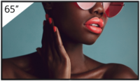 Sony Bravia Professional Displays FW-65BZ40L 65' Digital skiltning 3840 x 2160