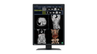 EIZO RadiForce RX270 21.3' IPS 1200 x 1600 DVI DisplayPort