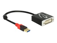 Delock Ekstern videoadapter