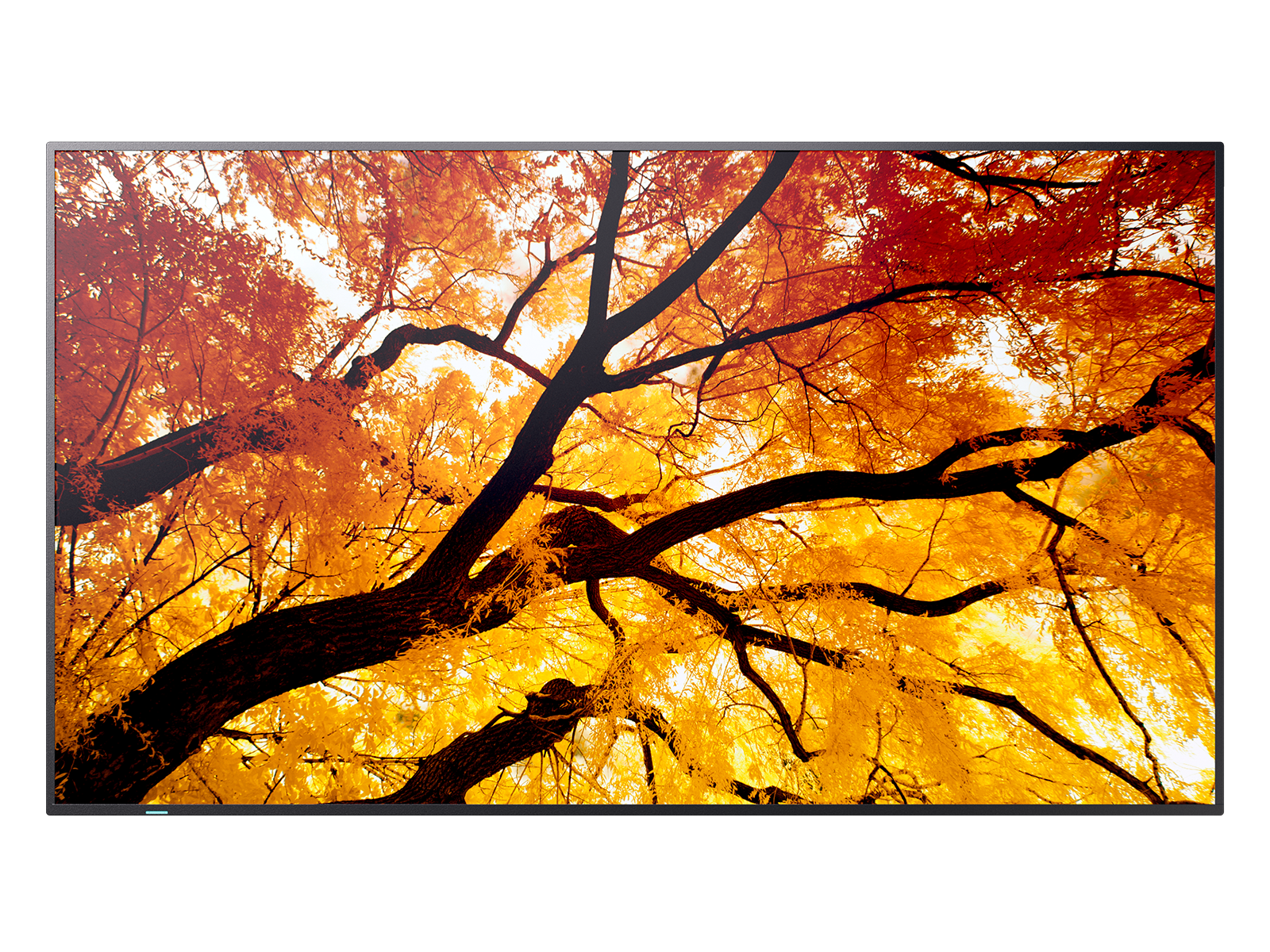 Sharp MultiSync M862 Digital fladpaneldisplay 2,18 m (86") LCD 550 cd/m² 4K Ultra HD Sort 24/7