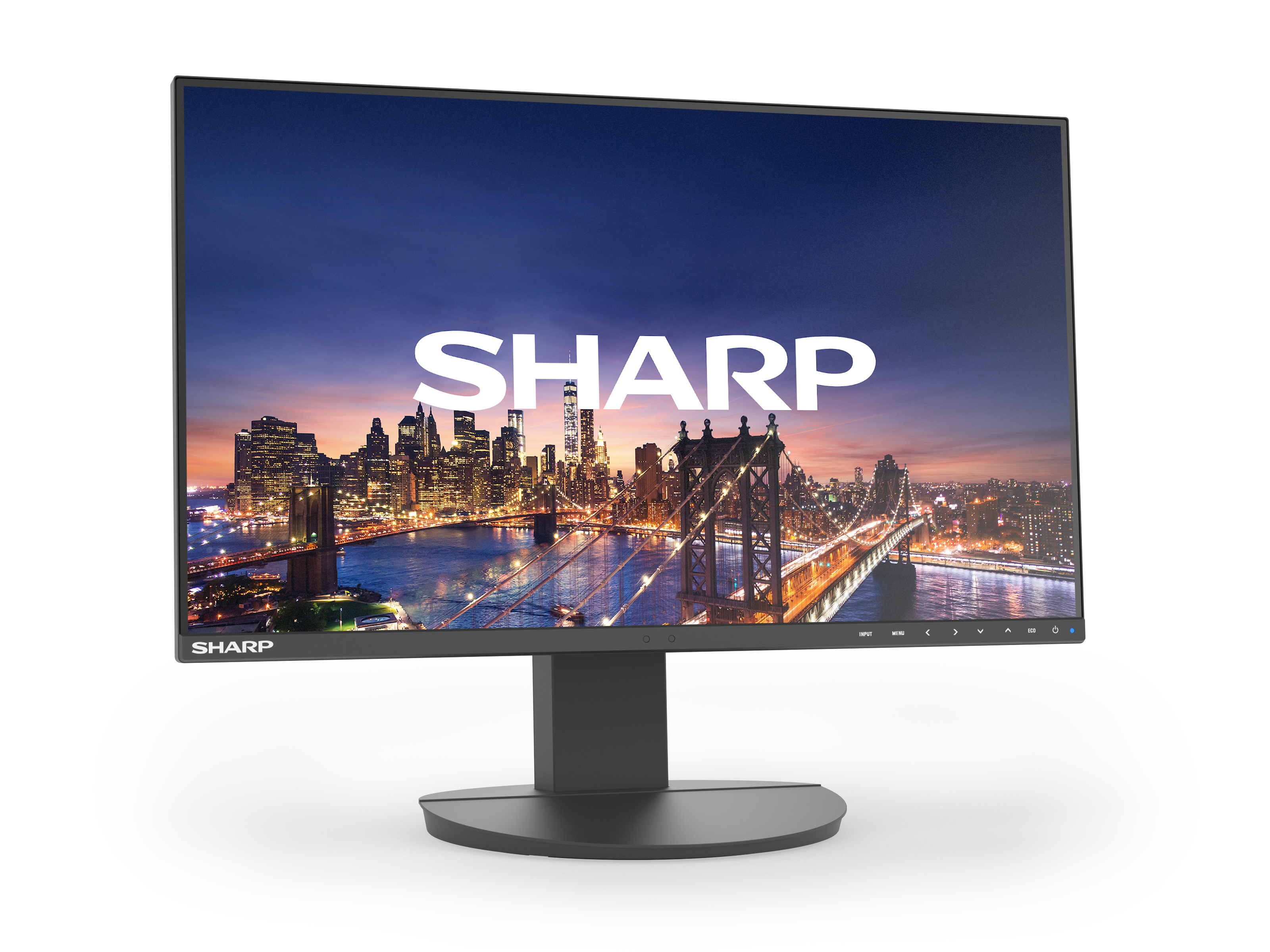 Sharp MultiSync EA242F computerskærm 61 cm (24") 1920 x 1080 pixel Fuld HD LCD Sort