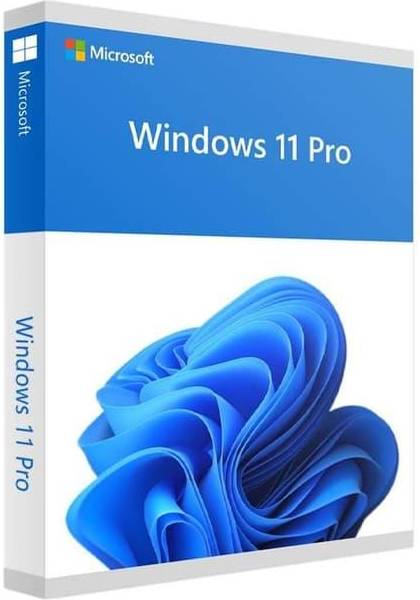 Windows 11 Pro - Bokspakke - 1 licens - flashdrev - 64-bit - Norsk