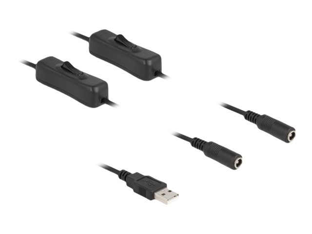 DeLOCK 4 pin USB Type A (male) - Strøm DC jackstik 5,5 mm (ID: 2,1 mm) (female) Sort 1m Strøm-splitter