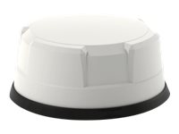 Panorama Antennas MAKO 5G - Antenne - radome - navigation, mobil, Wi-Fi - 9 dBi (til 4,9 - 6 GHz), 9 dBi (til 2,4 GHz), 4 dBi (til 617 - 960 MHz), 8 dBi (til 1710 - 3800 MHz), 9 dBi (til 4,9 - 7,2 GHz) - panelmonterbar, bil