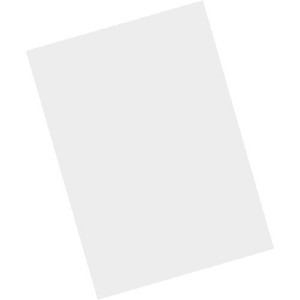 Zebra Skærmbeskytter Transparent Zebra MC9300, MC9300-G