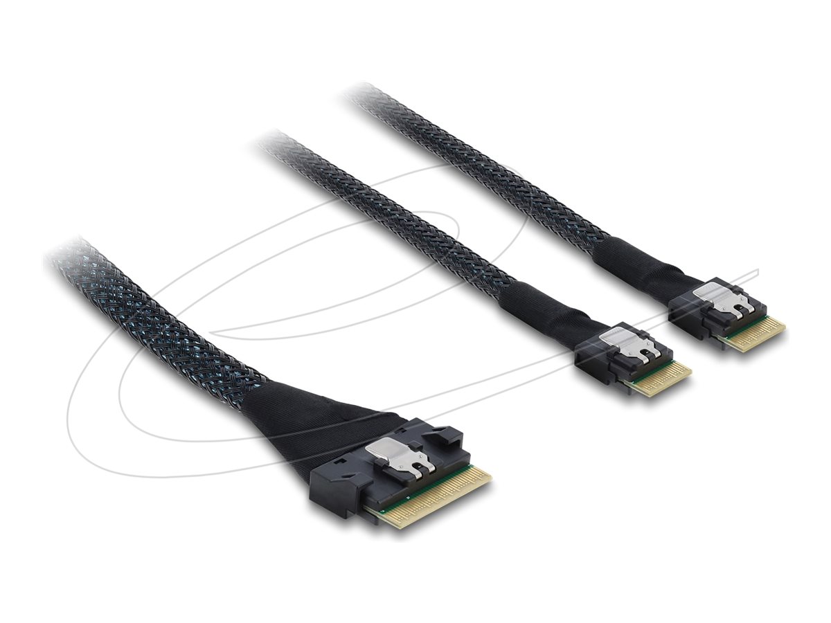 Delock Serial Attached SCSI (SAS) internt kabel Sort
