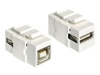 Delock - Modulært indsætning (kobling) - USB Type B, USB Type A