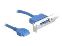 DeLOCK Slot bracket 1x19pin USB 3.0 pin header fe intern>2xUSB 3