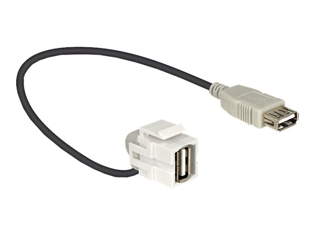 DeLOCK Keystone modul med kabel, USB 2.0 Type A hun - USB Type A hun,
