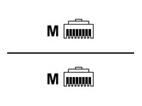 Telegärtner MP8 FS 600 CAT 7 Kabel med afskærmning med folie og kobberfletning (SFTP Patchkabel Blå billede