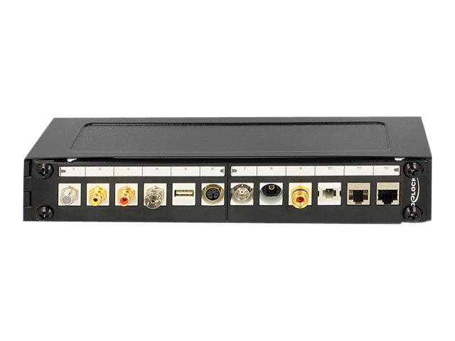 Delock - Patchpanel-monteringsbøjle - vægmonterbar - sort - 1U - 10