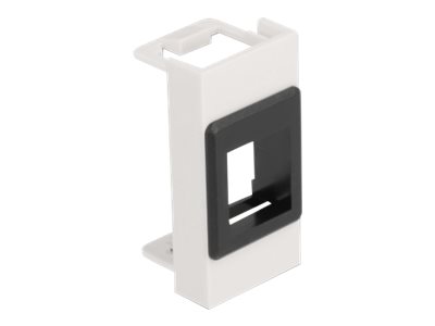DeLOCK Modular facility plate snap-in holder