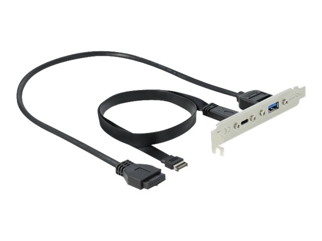 DeLOCK Slot beslag - USB beslag - 19-pin USB3.0 hoved, 20-pin USB 3.1 header til USB type A, USB-C (W) - 5 / 20 V - 50cm - Sort (89934)