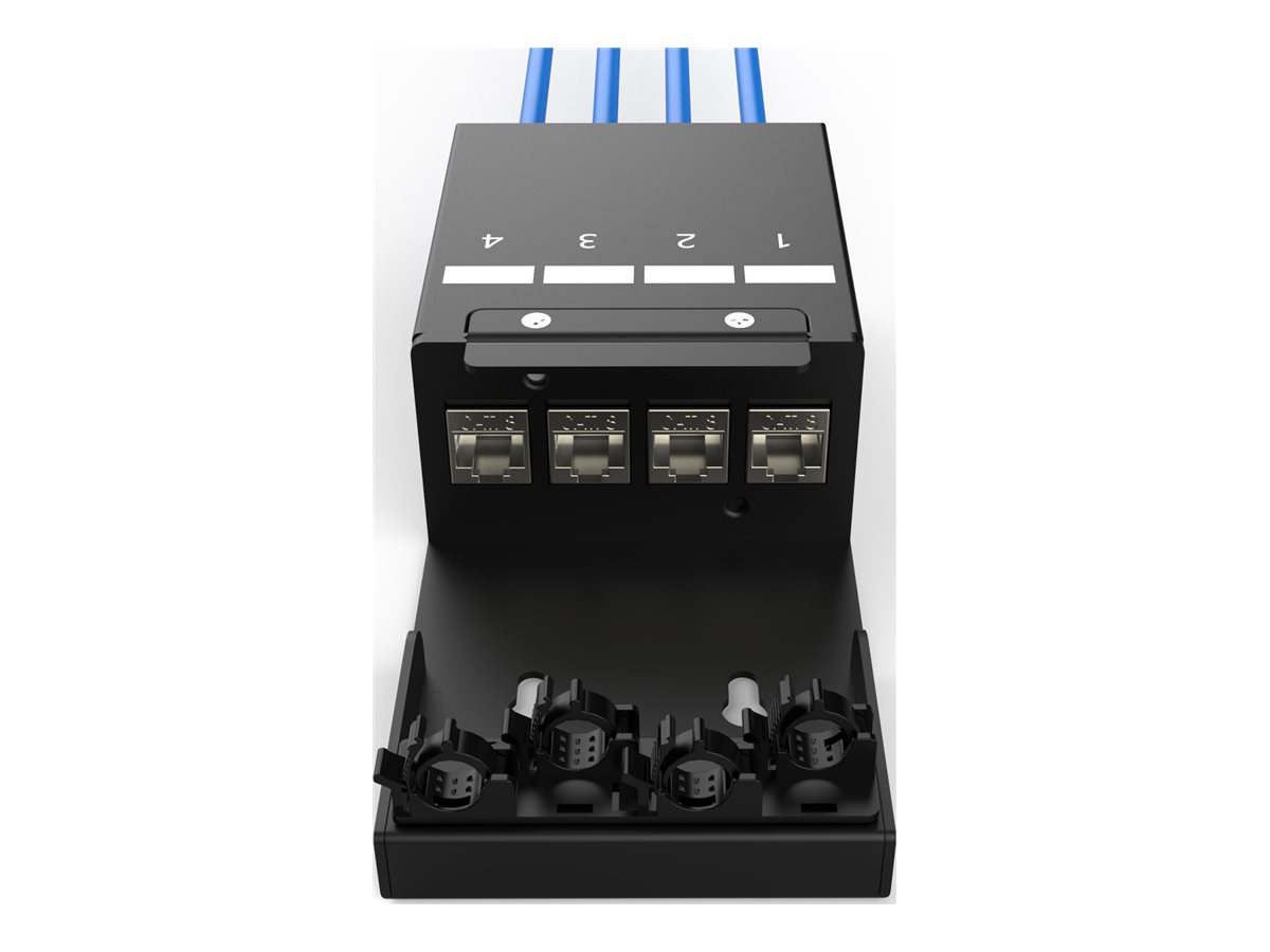 DIGITUS consolidation point box - keystone modules with intelligent cable manager