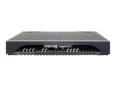 Patton SmartNode 4131 VoIP-gateway Ethernet ISDN Fast Ethernet Sort
