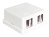 Delock Keystone Surface Mounted Box Hvid