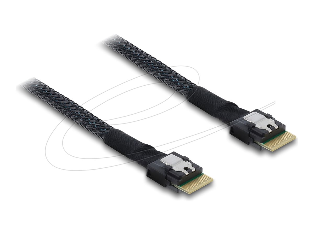 Delock Serial Attached SCSI (SAS) internt kabel Sort