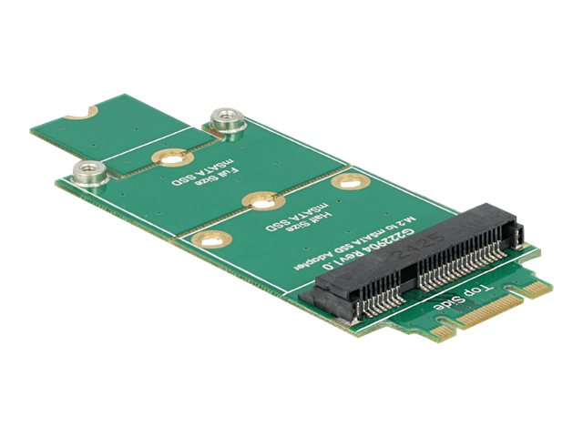 DeLOCK mSATA - M.2 SATA adapter - tilsluttes mSATA SSD til en M.2 SATA