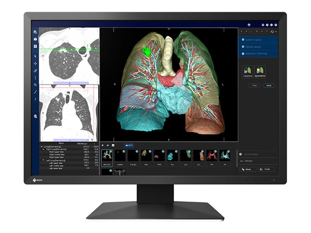 EIZO RadiForce MX243W-BK 24" IPS 1920 x 1200 (WUXGA) DVI DisplayPort 61Hz