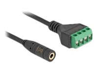 Delock Lyd adapter 20cm Sort Grøn