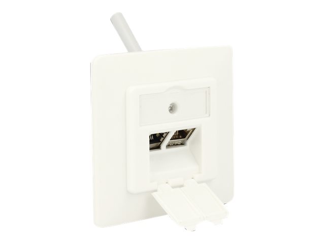 Delock Keystone Wall Outlet Hvid