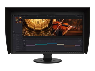 EIZO ColorEdge CG3100X 77,5 cm (30.5") IPS 4096 x 2160 pixel HDMI DisplayPort 60 Hz
