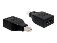 DeLOCK Mini DisplayPort han til DisplayPort hun-adapter, sort