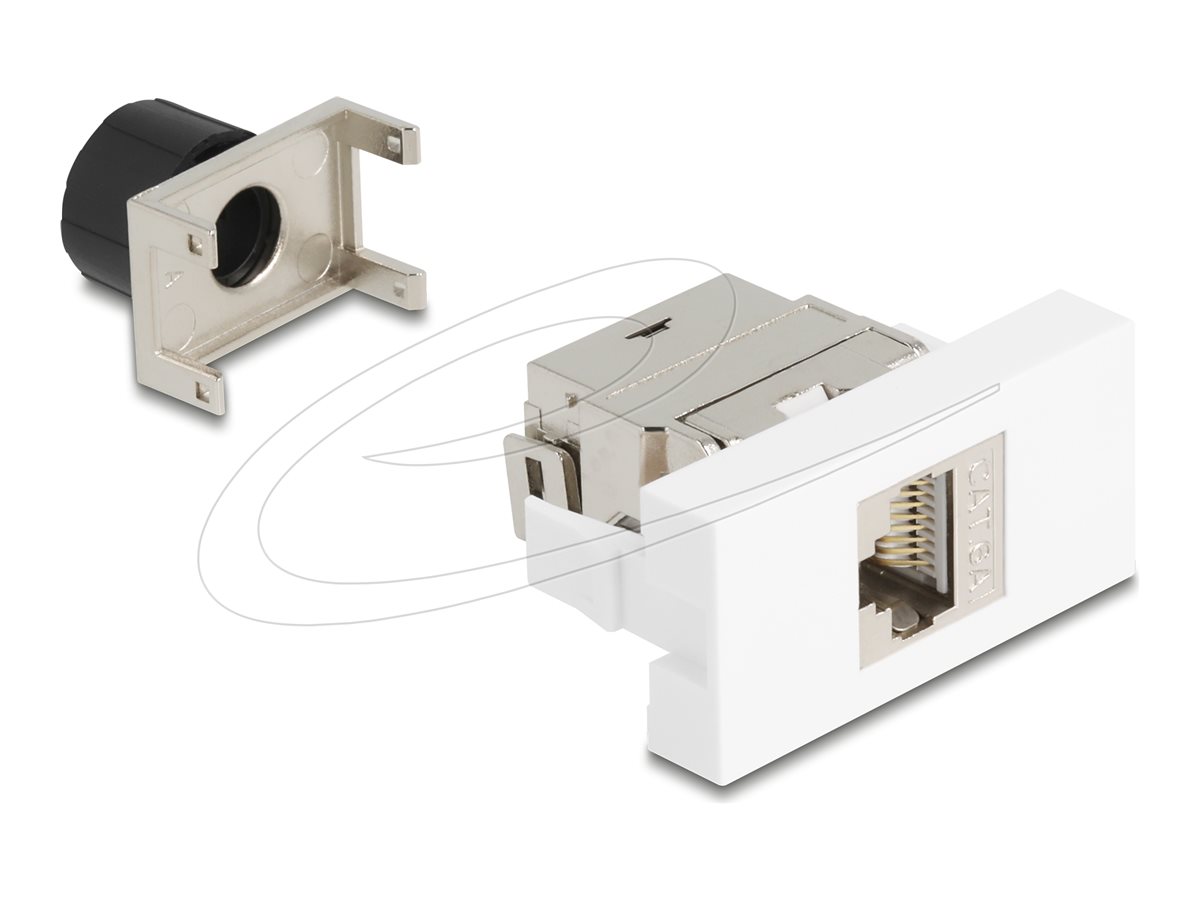 Delock Easy 45 - klik i-modul - CAT 6a, 180° værktøjsfri - 1 gang - hvid, sølv