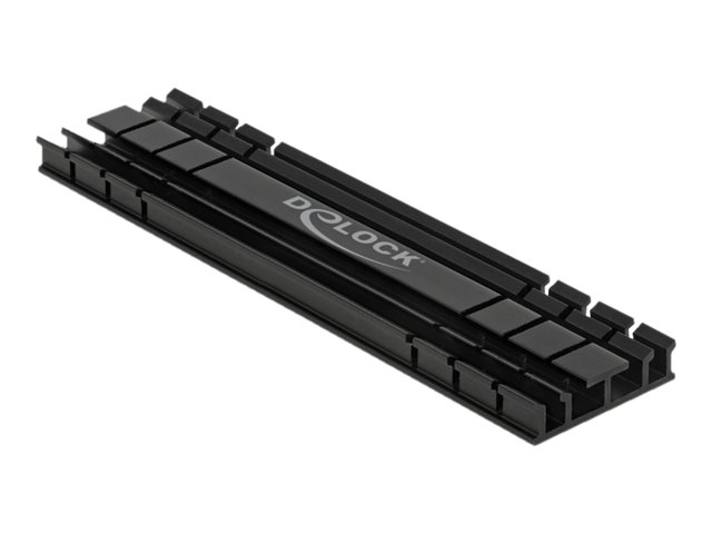 DeLOCK Heatsink flat 100 mm for M.2 module black Kølelegeme til solid state-disk