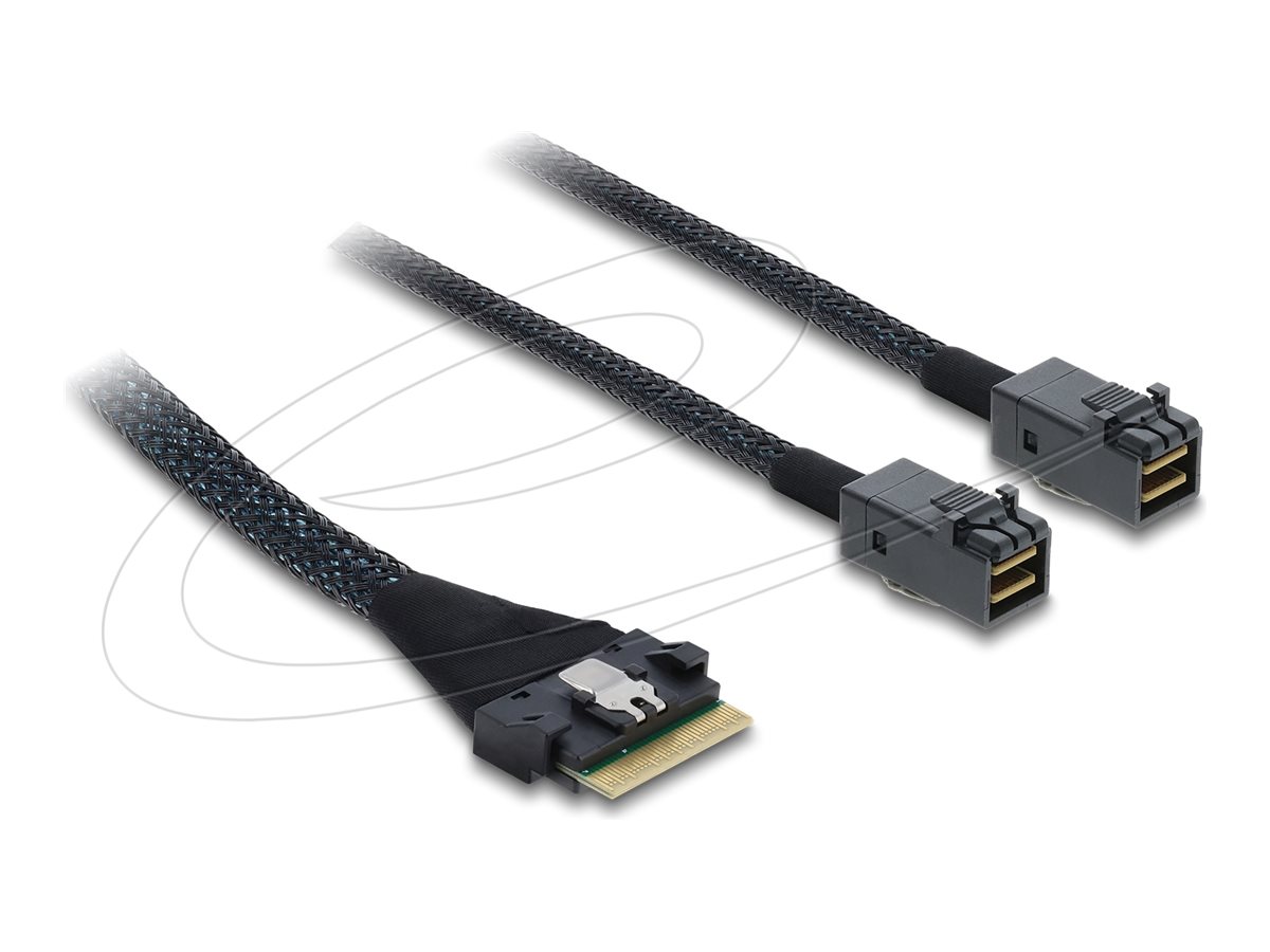 Delock Serial Attached SCSI (SAS) internt kabel Sort