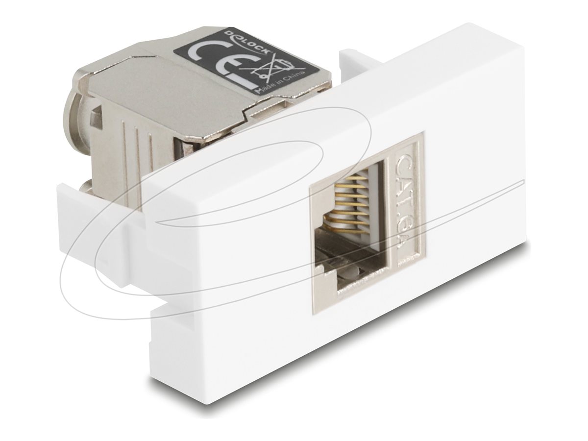 Delock Easy 45 - klik i-modul - CAT 6a, med LED - 1 gang - hvid, sølv