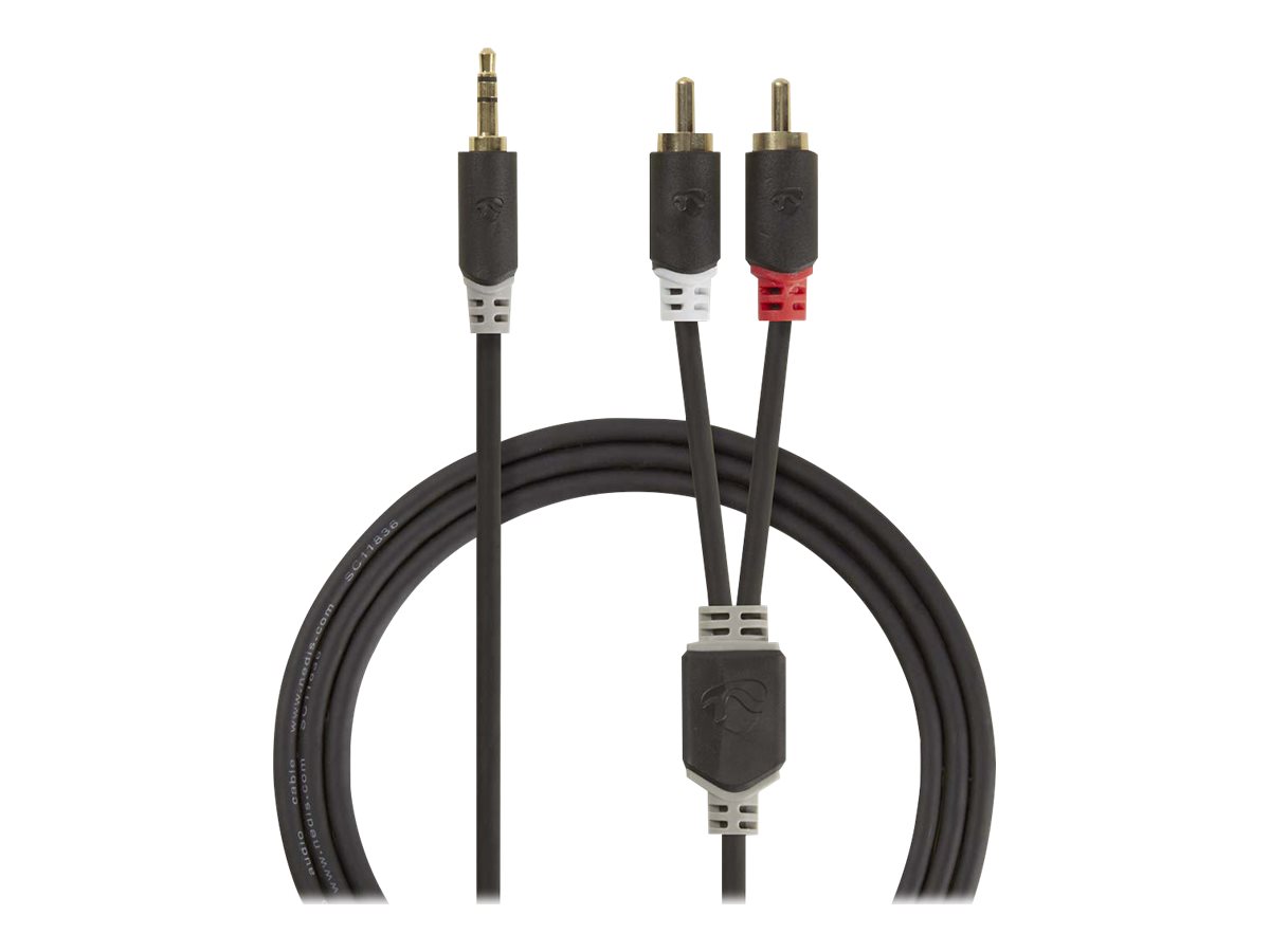 Nedis Stereo Audio kabel | 3.5 mm Hanstik | 2x RCA Hanstik | Guldplateret | 1.00 m | Runde | Antracit | Box