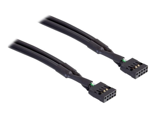 Delock - USB-kabel - 10 pins USB-samlekasse (hun) til 10 pins USB-samlekasse (hun) - 50 cm