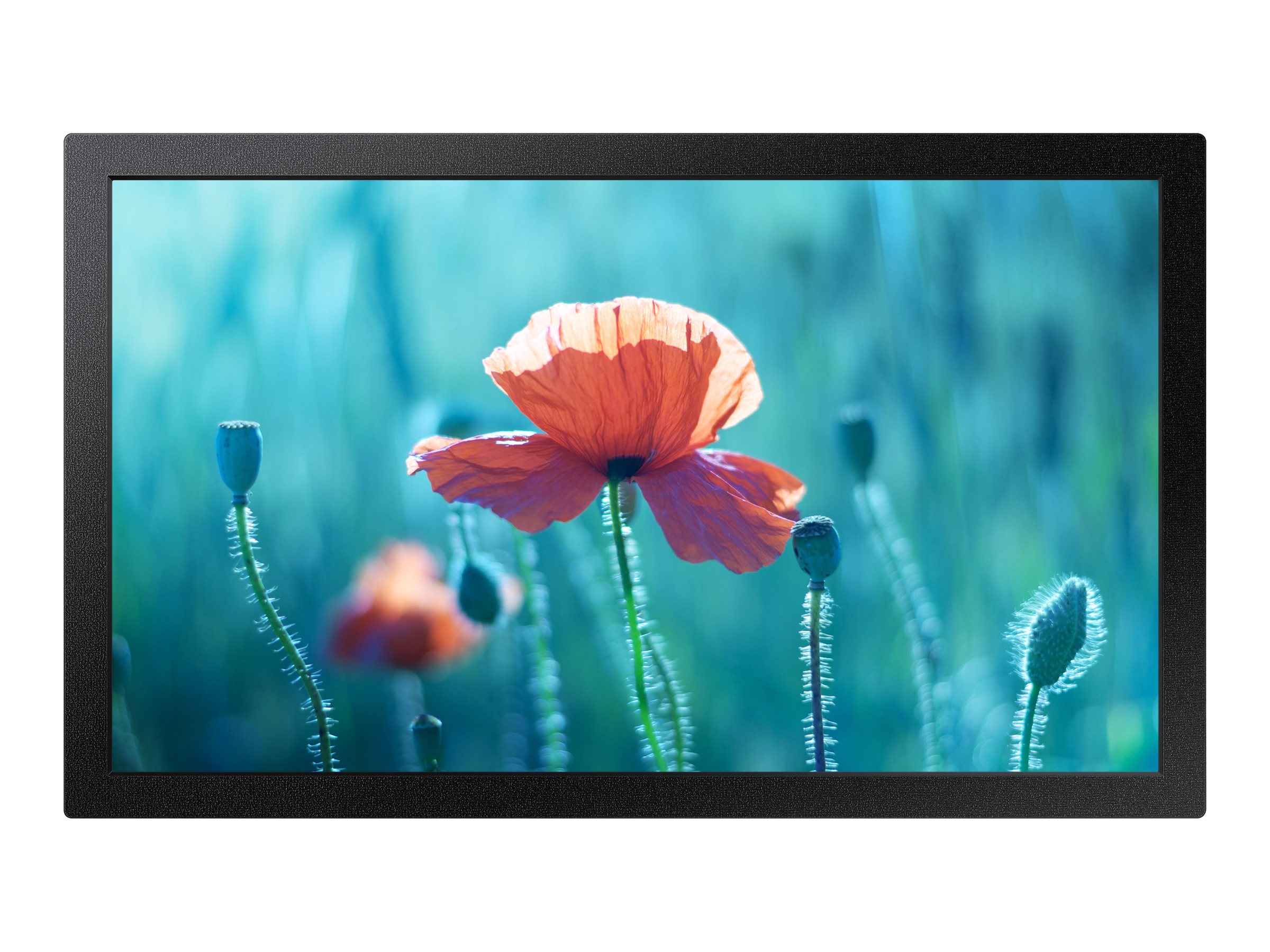 Samsung QB13R-M QBR Series - 13" LED-backlit LCD display - Full HD - for digital signage
