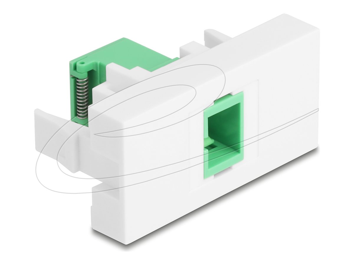 Delock Easy 45 - klik i-modul - med laserbeskyttelse flip indeni - 1 gang - grøn, hvid