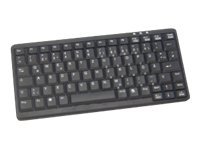 Active Key AK-4100-P Tastatur Saks Kablet USA