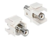 DeLOCK Modular Insert (Coupling)