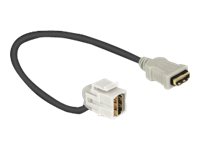 Delock Keystone Module HDMI female > HDMI female 110° with cable HDMI-kabel 22cm