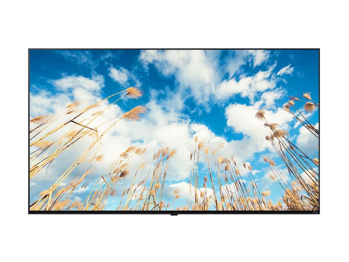 LG 65UM767H0LJ - 65 Diagonal klasse UM767H Series LED-bagbelyst LCD TV - hotel / beværtning - Pro:Centric med Integrated Pro:Idiom - Smart TV - webOS - 4K UHD (2160p) 3840 x 2160 - HDR - askeblå