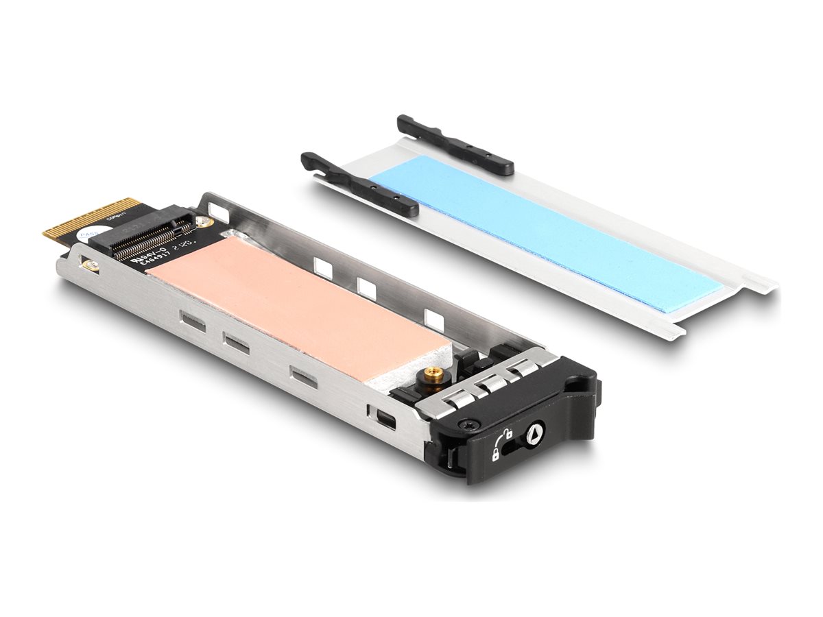 DeLOCK Harddiskbakke