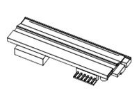 Datamax-O'Neil - 300 dpi - printhoved - for I-Class Mark II I-4212e, I-4310e, I-4606e