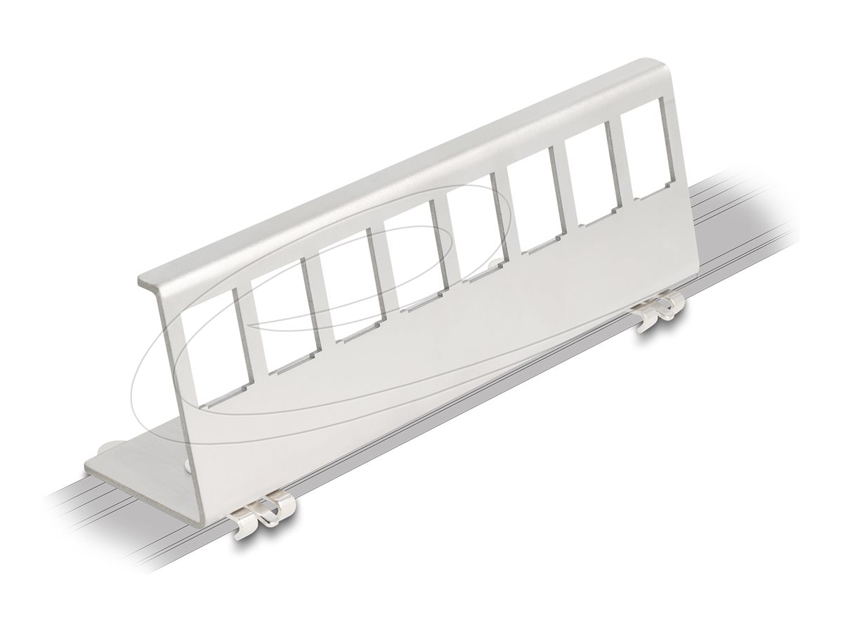 DeLOCK Keystone DIN skinne monteringsadapter Sølv