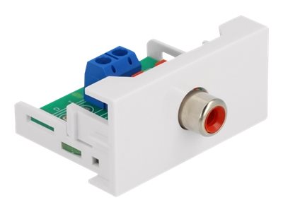 Delock Easy 45 - klik i-modul - hvid, RAL 9003