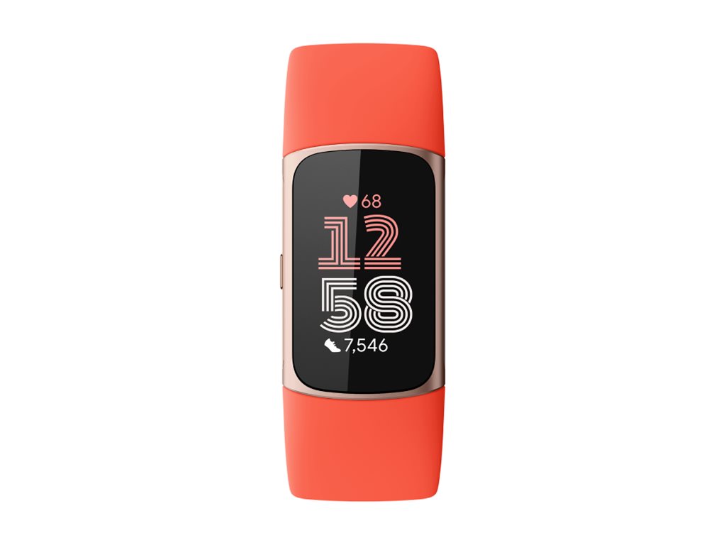 Fitbit Charge 6 Champagne Gold Aluminium Case